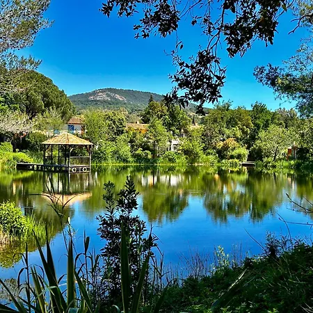 Les Restanques Vue Freesia Grimaud