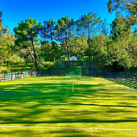 Les Restanques Vue Freesia