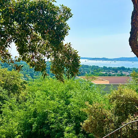 Les Restanques Vue Freesia